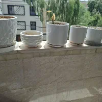 گلدان سرامیکی