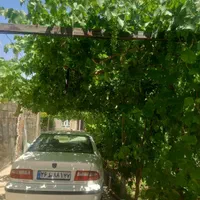 فروش زمین ۱۰۱۳ متری|فروش زمین و ملک کلنگی|باروق, |دیوار