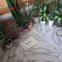 طبیعت
