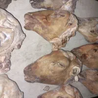 کله پاچه بره و شیشک پاچه گوساله و سیرابی|خوردنی و آشامیدنی|خمینی‌شهر, |دیوار