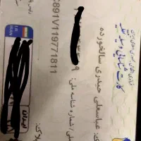 کارت پیدا شده