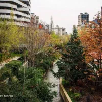 زعفرانیه  برج باغ  160 متر دید پارک ساسان