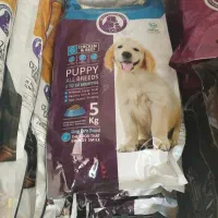 نمایندگی فروش غذای سگ و گربه سزارکندی|لوازم جانبی حیوانات|رباطکریم, یقه|دیوار