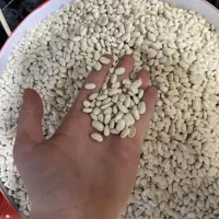 حبوبات|خوردنی و آشامیدنی|پاکدشت, خاتون آباد|دیوار