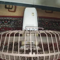 پنکه|پنکه و تصفیهکنندهٔ هوا|شیراز, میانرود|دیوار