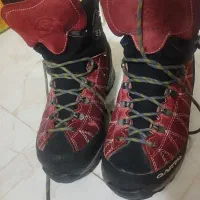 کفش کوه نوردی قارتال