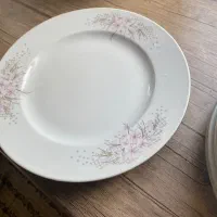 بشقاب پلو خوری