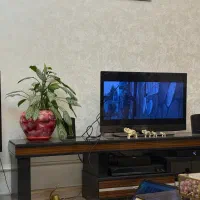 تلویزیون و سینما خانواده سونی