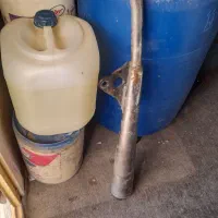 کفتر|کلکسیون و سرگرمی|بم, |دیوار