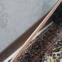 اسکیت برد|دوچرخه، اسکیت، اسکوتر|همدان, |دیوار