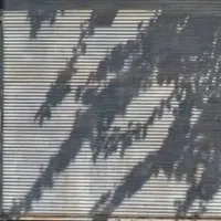 فروش-مغازه-ابهرخیابان-بهشتی