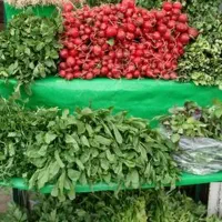 سبزی خوردن و خورشتی و معطر