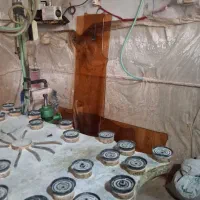 کارگر ماهر ونیمه ماهر جهت کار درشیشه بری نیازمندیم