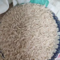 ۲۰۰کیلوبرنج طارم هاشمی محلی دشت خودم به شرط پخت