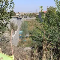 زمین فروشی در کلوکند|فروش زمین و ملک کلنگی|القجر, |دیوار