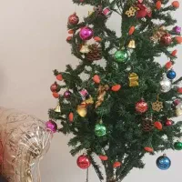درخت کریسمس ۱۸۰ سانتی