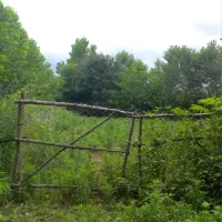 زمین-باغی-سندار