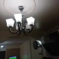 لوستر شاخه ای|لوستر و چراغ آویز|تهران, مسعودیه|دیوار