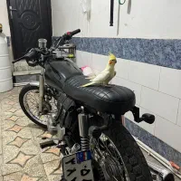 هوندا استارتی چراغ گرد