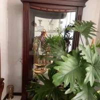 فروش بوفه
