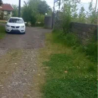 زراعی-جنب-بافت-با-درخت-صنوبر