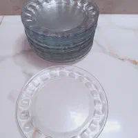 ظروف شستی  شیشه ای کامل
