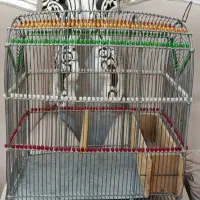 قفس سهره دستبافت