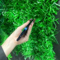 Iphone 12 256g  نقد و اقساط|موبایل|تهران, شهرک غرب|دیوار