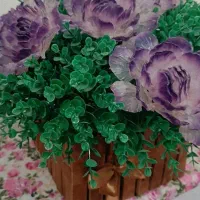 گل رو میزی
