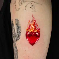 اجرا و آموزش تخصصی تتو بدن در صدرا|خدمات آموزشی|صدرا-فارس, فاز ۱|دیوار