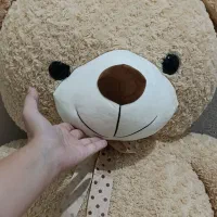 عروسک خرس شاسخین