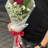 تک شاخه دسته گلی|گل و گیاه طبیعی|رشت, جانبازان|دیوار