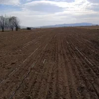 فروش زمین کشاورزی و چاه عمیق|فروش دفتر صنعتی، کشاورزی، تجاری|اردبیل, |دیوار