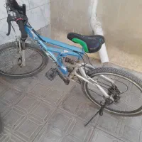 دوچرخه ۲۴ ماکسیما|دوچرخه، اسکیت، اسکوتر|لاران, |دیوار