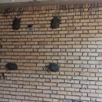 انواع سیمان کاری و لوله کشی آب|خدمات پیشه و مهارت|سیمین شهر, |دیوار