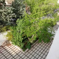 اجاره مستغلات موقعیت اداری ۳۰۰متری|اجارهٔ دفتر کار، اتاق اداری، مطب|تهران, فرحزاد|دیوار