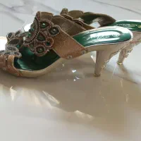 کفش مجلسی