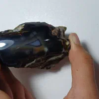 عقیق|جواهرات|مشهد, فارغ التحصیلان|دیوار