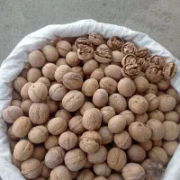 گردو|خوردنی و آشامیدنی|خمینیشهر, |دیوار