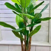 گیاهان مصنوعی و کربن وال سبز و رنگی|گل مصنوعی|صفادشت, |دیوار