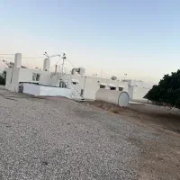 200جریب چاه گلخانه گاوداری باپروانه مرغداری کارخان|فروش دفتر صنعتی، کشاورزی، تجاری|میمه, |دیوار