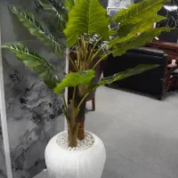 درختچه مصنوعی|گل مصنوعی|رباط‌کریم, رباط‌کریم|دیوار