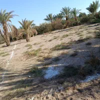 زمین