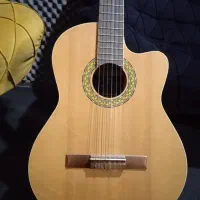 تنظیم کننده فوق حرفه ای
