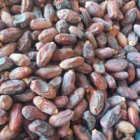 دیری درجه یک کیلو ۹۰|خوردنی و آشامیدنی|اهواز, دغاغله|دیوار