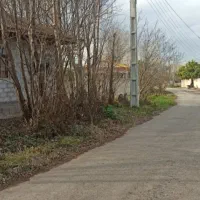 زمین مسکونی با پروانه ساخت با ۱۳ متر بر آسفالت|فروش زمین و ملک کلنگی|رشت, شکار اسطلخ|دیوار