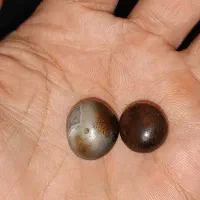 ۳ جفت مهره سلیمانی قدیمی