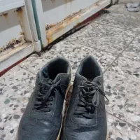 سه جفت کفش نو|کیف، کفش، کمربند|دزفول, |دیوار