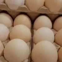 تخم مرغ محلی