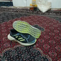 کفش آدیداس اصلی واورجینال|کیف، کفش، کمربند|سنندج, |دیوار